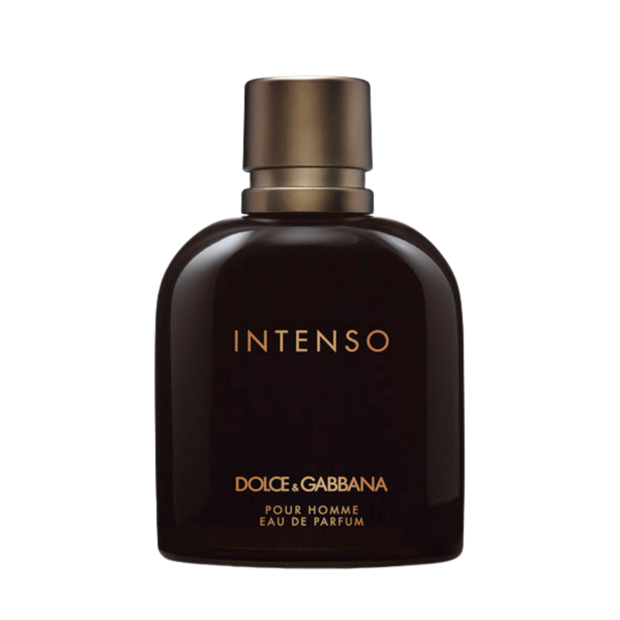 INTENSO DOLCE & GABBANA א.ד.פ
